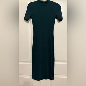 Zara Midi Turtle neck dress